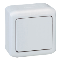 Perjungiklis v/t viengubas IP44 pilkas 10A 250V Forix - LEGRAND