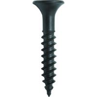 Varžtas gipsui 3.9x35mm cinkuotas plokščia galva PH PSSB G [pak. po 1000 vnt.] - PROTEC