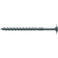 Varžtas 8x100 su pusapvalia galvute PTKS A2 [100] - PROTEC