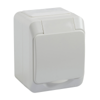 1-socket-outlet IP44 s ace white, WDE0129101, WIRING DEVICES, EXXACT, ELECTROMECHANICAL INSERTS - SCHNEIDER ELECTRIC (pavadinimas tikslinamas)