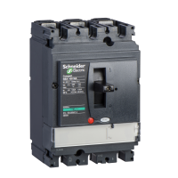 2P(3P) NSX100NA, LV429619, LV POWER CIRCUIT BREAKERS AND SWITCHES, MCCB OPTIMUM OFFER, COMPACT <=250 - SCHNEIDER ELECTRIC (pavadinimas tikslinamas)