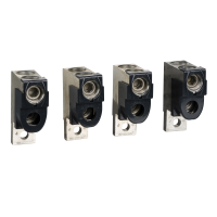 Rinkinys gnybtų automatui NSX100-250 2x120mm2 [rinkinyje 4 vnt.] - SCHNEIDER ELECTRIC