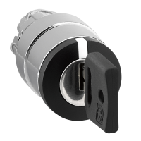 BKS KEY SELECTOR SWITCH, ZB4BG7E7, CONTROL & SIGNALLING, PUSH BUTTONS, PILOT LIGHTS & CONTROLS, DIA 22 METAL - SCHNEIDER ELECTRIC (pavadinimas tikslinamas)