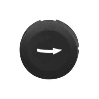 BLACK PLAIN CAP RIGHT ARROW FOR CIRCULAR, ZB6YA221, CONTROL & SIGNALLING, PUSH BUTTONS, PILOT LIGHTS & CONTROLS, DIA 16 PLASTIC MODULAR - SCHNEIDER ELECTRIC (pavadinimas tikslinamas)