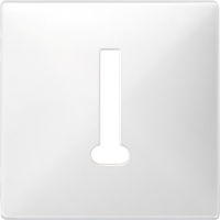 CENTRAL PLATE FOR NATIONAL TELEPHONE OUT, MTN286319, WIRING DEVICES, MERTEN, SYSTEM DESIGN - SCHNEIDER ELECTRIC (pavadinimas tikslinamas)