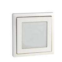 CENTRAL PLATE WITH WINDOW, MTN585819, WIRING DEVICES, MERTEN, SYSTEM DESIGN - SCHNEIDER ELECTRIC (pavadinimas tikslinamas)