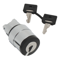 CES KEY SELECTOR SWITC, ZB4BG4TEC10, CONTROL & SIGNALLING, PUSH BUTTONS, PILOT LIGHTS & CONTROLS, DIA 22 METAL - SCHNEIDER ELECTRIC (pavadinimas tikslinamas)