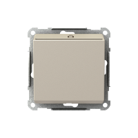 Exxact keycard switch ole screw met, WDE004053, WIRING DEVICES, EXXACT, ELECTROMECHANICAL INSERTS - SCHNEIDER ELECTRIC (pavadinimas tikslinamas)