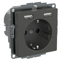 Exxact Schuko SO with charger ant, WDE003179, WIRING DEVICES, EXXACT, ELECTROMECHANICAL INSERTS - SCHNEIDER ELECTRIC (pavadinimas tikslinamas)