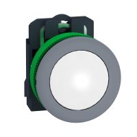 FLUSH complete Pilot l t 24V White, XB5FVB1C0, CONTROL & SIGNALLING, PUSH BUTTONS, PILOT LIGHTS & CONTROLS, DIA 22 PLASTIC - SCHNEIDER ELECTRIC (pavadinimas tikslinamas)