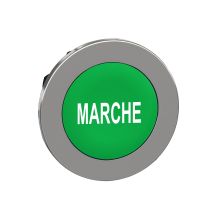 FLUSH GR CAPS PB HEAD MARKED MARCHE, ZB4FA342, CONTROL & SIGNALLING, PUSH BUTTONS, PILOT LIGHTS & CONTROLS, DIA 22 METAL - SCHNEIDER ELECTRIC (pavadinimas tikslinamas)