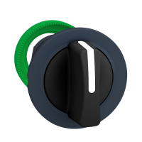 FLUSH MOUNTED BLACK SE TOR SWITCH HEAD, ZB5FD5, CONTROL & SIGNALLING, PUSH BUTTONS, PILOT LIGHTS & CONTROLS, DIA 22 PLASTIC - SCHNEIDER ELECTRIC (pavadinimas tikslinamas)