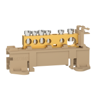 gnybtu blokas 80A, 14976, FINAL DISTRIBUTION DEVICES AND SYSTEMS, COMMON CONNECTION, CONNECTION - SCHNEIDER ELECTRIC (pavadinimas tikslinamas)