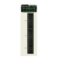 H HIGH SPEED COUNTER 2, BMXEHC0200H, AUTOMATION CONTROLLERS, SYSTEM-ORIENTED PLCS, ADVANTYS STB & ETB & X80 - SCHNEIDER ELECTRIC (pavadinimas tikslinamas)