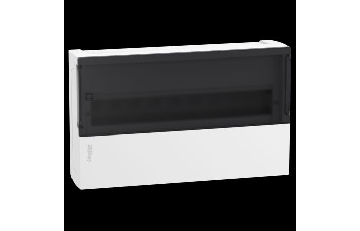 Skydelis v/t 18 modulių IP40 matinės durys Mini Pragma Resi9 - SCHNEIDER ELECTRIC