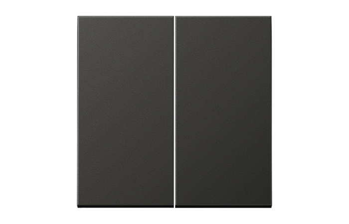 Klavišas dvigubam jungikliui aliumininis antracito spalvos LS - JUNG