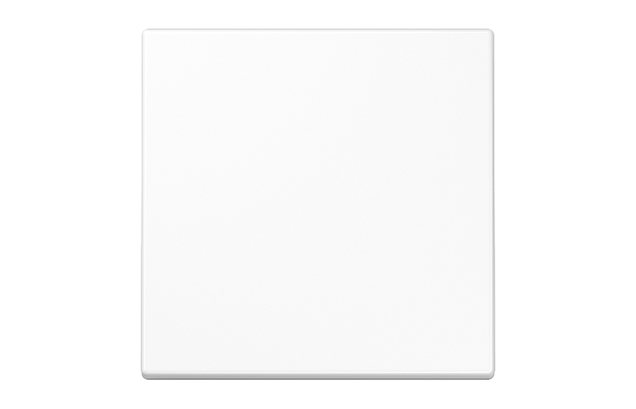 Klavišas mygtukiniam jungikliui baltas LS - JUNG