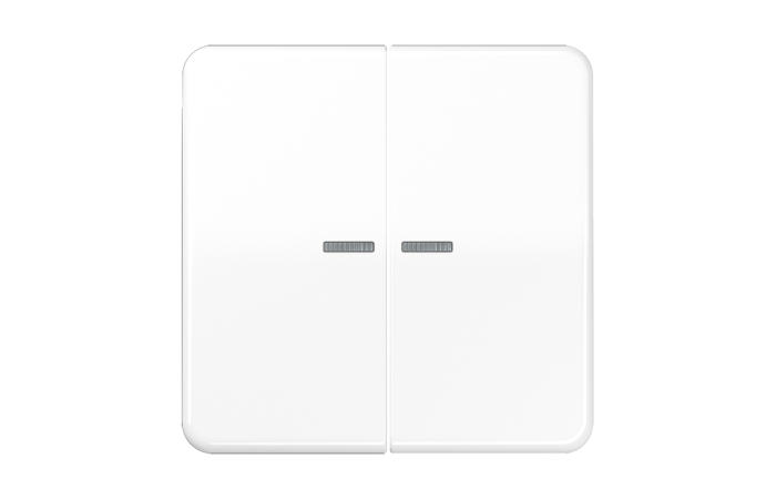 Klavišas dvigubas jungikliui su apšvietimu baltas CD - JUNG