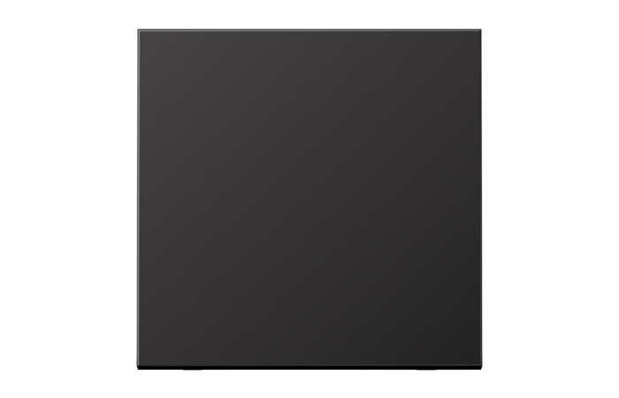 Klavišas viengubam jungikliui aliumininis dark spalvos LS - JUNG