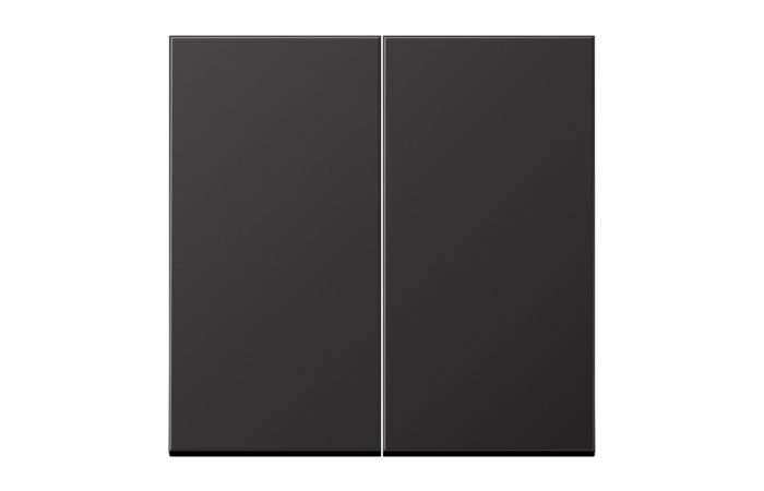 Klavišas dvigubam jungikliui aliumininis dark spalvos LS - JUNG