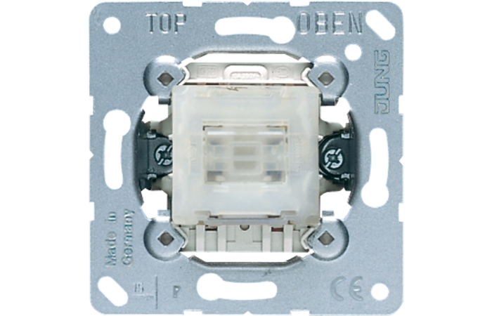 Jungiklis 2 polių mygtukinis 10A 250V - JUNG