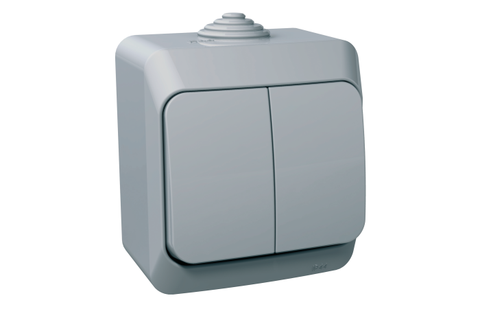 Jungiklis v/t dvigubas IP44 pilkas 16A 250V CEDAR PLUS - SCHNEIDER ELECTRIC