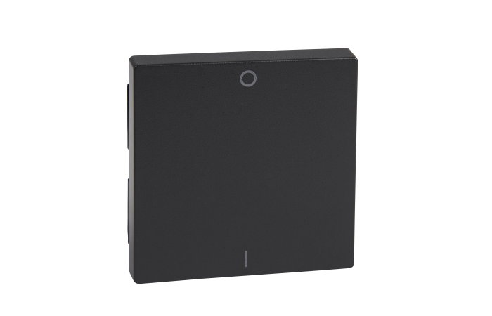 Klavišas viengubas jungikliui atracito spalvos SYSTEM M - SCHNEIDER ELECTRIC