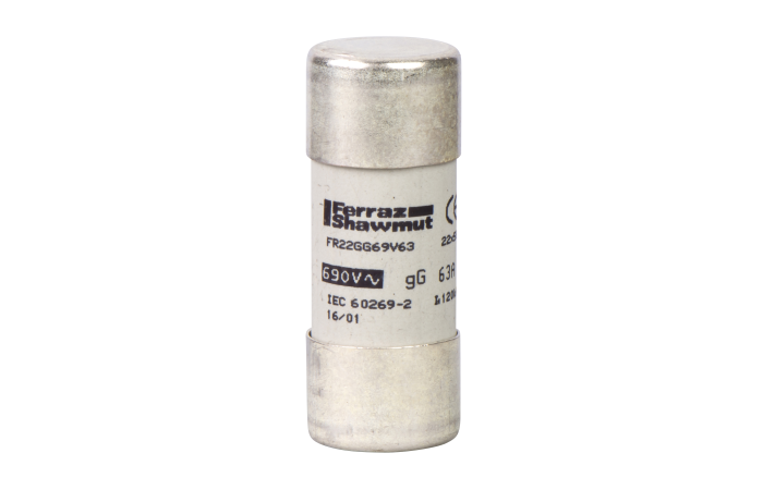 Saugiklis 80A 22x58 660V 055508 - SCHNEIDER ELECTRIC