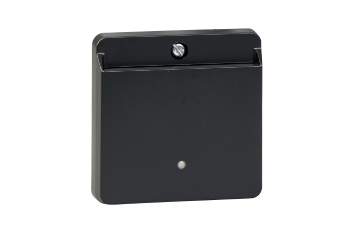 Laikiklis kortelės-rakto antracito spalvos viešbučiams System M - SCHNEIDER ELECTRIC