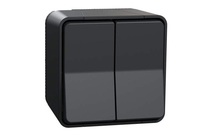 Perjungiklis v/t dvigubas IP55 pilkos spalvos 10A 250V Mureva Styl - SCHNEIDER ELECTRIC