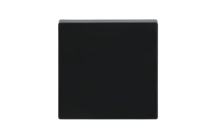 Klavišas viengubam jungikliui antracito spalvos 1786-81 Future Linear - ABB