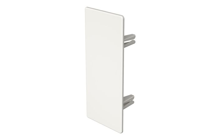 Galinis dangtelis behalogenis 60x150mm Polikarbonatas/akrilnitrilo-butadieno-stirenas baltas RAL 9010 WDKH-E60150RW - OBO BETTERMANN (pavadinimas tikslinamas)