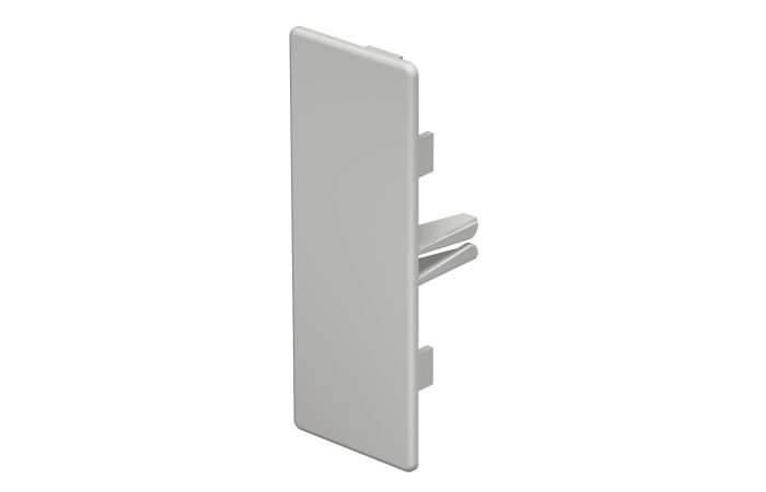 Galinis dangtelis 40x110mm Polivinilo chloridas šviesiai pilka RAL 7035 WDK HE40110LGR - OBO BETTERMANN (pavadinimas tikslinamas)