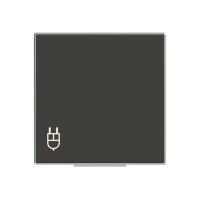 Dangtelis SCHUKO lizdui juodos spalvos 8588.1 NS SKY Niessen - ABB