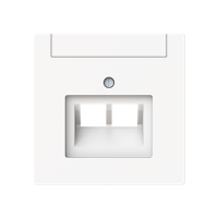 Dangtelis kompiuteriniam lizdui dvigubas RJ45 baltos matinės spalvos 1803-02-44M-500 Busch-Art Linear - ABB