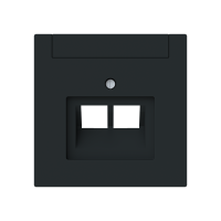 Dangtelis kompiuteriniam lizdui dvigubas RJ45 juodos matinės spalvos 1803-02-45M-500 Busch-Art Linear - ABB