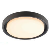 Šviestuvas v/t LED 27W IP54 3000K 2300lm D-340mm H-50mm tamsiai pilkos spalvos ASCELLA - DEKO LIGHT