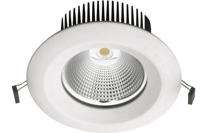 Šviestuvas į/l LED 19.8W IP65 4000K 2411lm D-225mm H-90mm Perseus C LED1x2450 E956 T840 CLR - NORTHCLIFFE