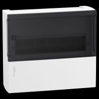 Skydelis v/t 12 modulių IP40 matinės durys Mini Pragma Resi9 - SCHNEIDER ELECTRIC