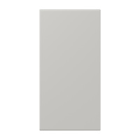 Dangtelis F50 gris clair 31 LC32013 - JUNG