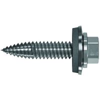 Savisriegis 6.0x38mm A2 cinkuotas su sandarinančia poveržle PDBS6x38 [100] - PROTEC