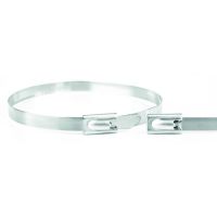 Dirželis 520x4.6mm nerūdijančio plieno 304 (V2A) PEKB46520 [100] - PROTEC