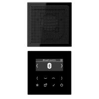 Radijas skaitmeninis juodas su bluetooth sąsaja mono LS - JUNG