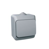 Jungiklis v/t viengubas IP44 pilkos spalvos 16A 250V AC Cedar Plus - SCHNEIDER ELECTRIC