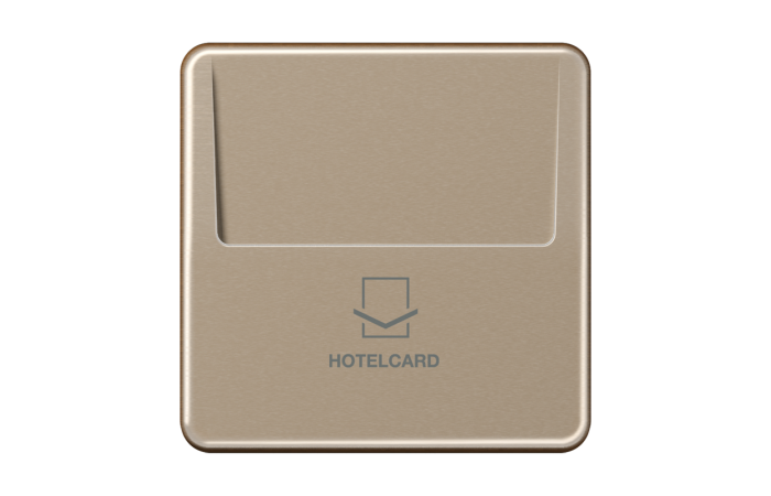 Dangtelis kortelinis bronzinis CD - JUNG