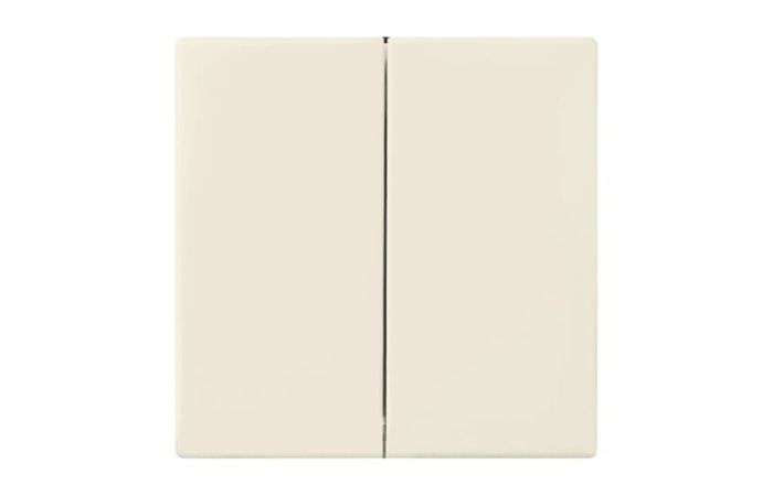 Klavišas dvigubas dramblio kaulo spalvos 6736 FoH-82 - ABB