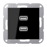 Lizdas p/t dvigubas USB 2.0 juodos spalvos A - JUNG