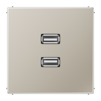 Lizdas p/t dvigubas USB 2.0 nerūdijančio plieno spalvos LS - JUNG