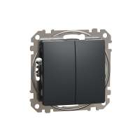 Jungiklis p/t dvigubas be rėmelio antracito spalvos 10A 250V SEDNA DESIGN - SCHNEIDER ELECTRIC