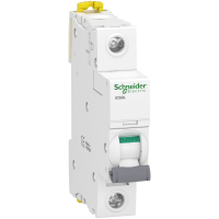 Automatas 1P 6A B 15kA iC60L Acti9 - SCHNEIDER ELECTRIC